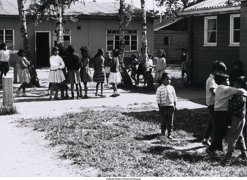 molukkers-schattenberg-gr